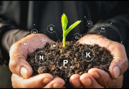 食品原料小百科：植物中能用PQQ嗎？