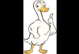 食品原料小百科：PQQ在動物領(lǐng)域的應(yīng)用？