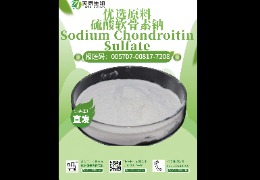 軟骨救星，硫酸軟骨素鈉讓你告別關(guān)節(jié)疼痛！