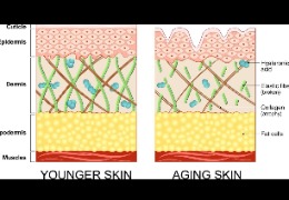 正確選擇精華素，讓你的肌膚更緊致、更年輕