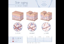 護膚品保濕成分的黃金標(biāo)準(zhǔn)——透明質(zhì)酸鈉