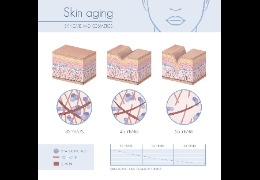 羥丙基三甲基氯化銨：透明質(zhì)酸鉀的功效及用途  乙?；该髻|(zhì)酸鈉