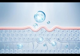 護(hù)膚品滲透和吸收是一回事嗎？