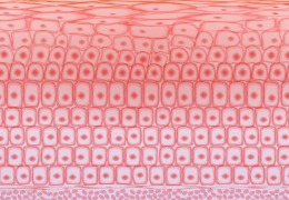 如何保護(hù)皮膚，才能使皮膚看起來健康？